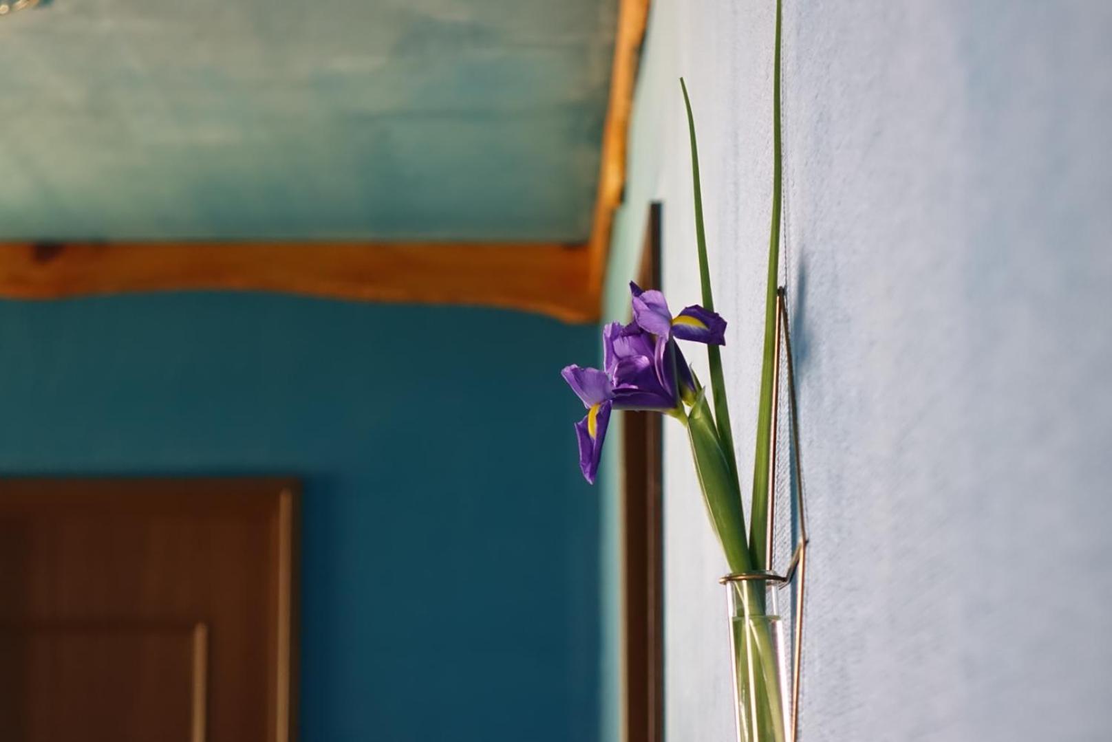 Lodge Mondo Nishiizu Ngoại thất bức ảnh